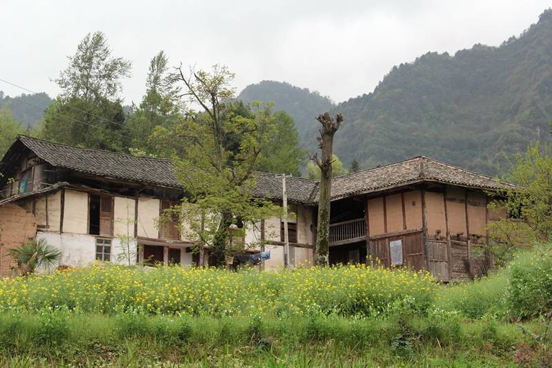 巴中南江县乌龙垭村-四川古村落数据库