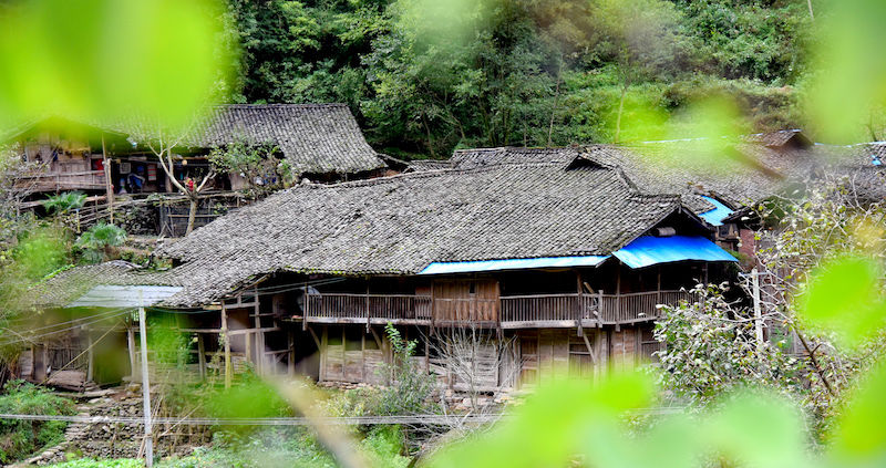 广元旺苍县水营村-四川古村落数据库